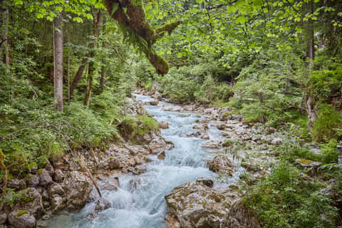 Gemeinde Ramsau Landkreis Berchtesgadener_Land Zauberwald am Hintersee (Dirschl Johann) Deutschland BGL